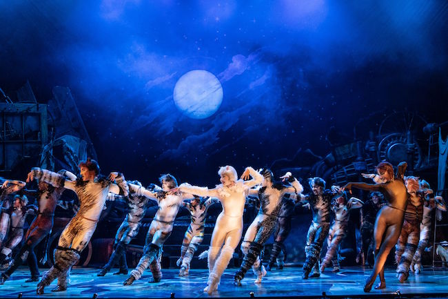 The company of the 2021-2022 national tour of ‘Cats,’ photo by Matthew Murphy, Murphymade. The company of the 2021-2022 national tour of ‘Cats,’ photo by Matthew Murphy, Murphymade.