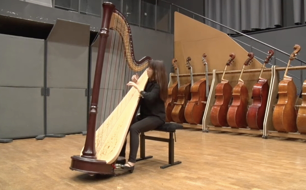 Woo Chin Lee performs the Tailleferre harp sonata Woo Chin Lee performs the Tailleferre harp sonata